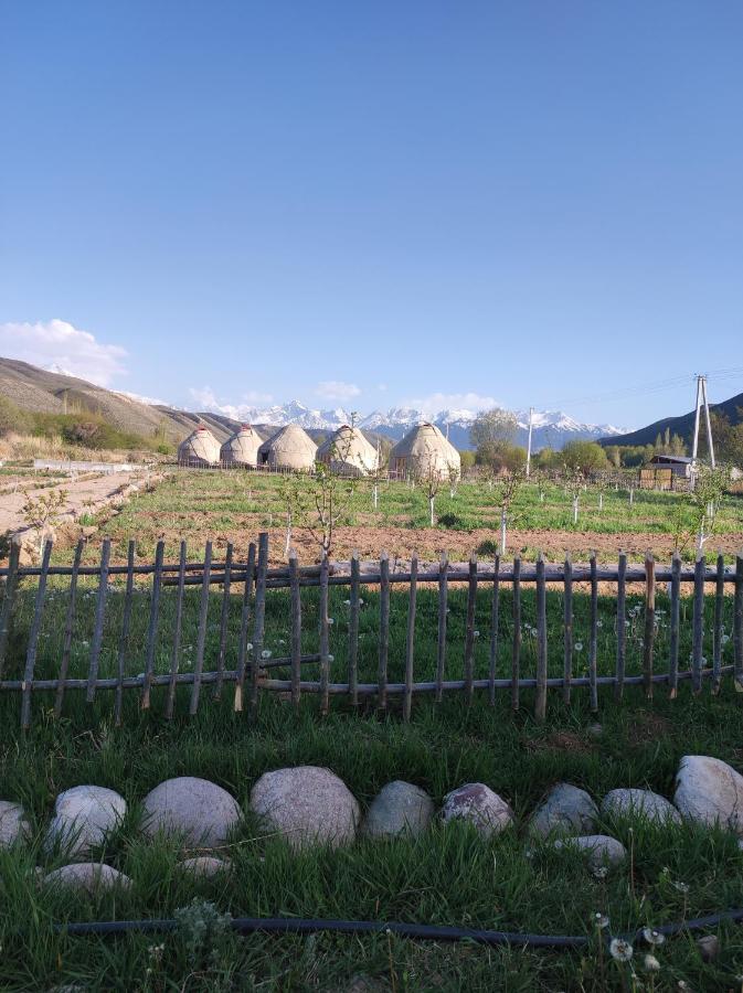 Eco Village Lodge Dzhetyoguz Exterior photo